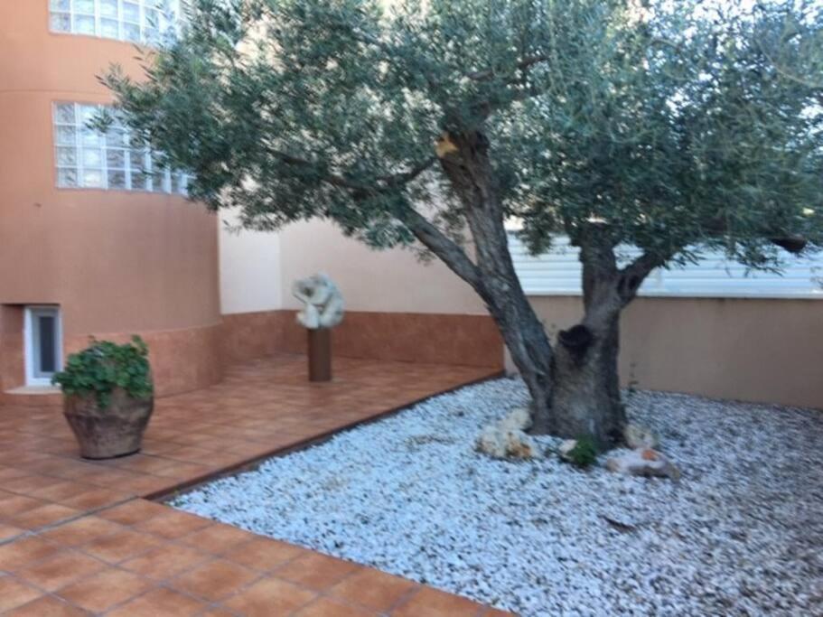 Apartamento Preciosas Vistas Al Mar Y Montana En La Ampolla L'Ampolla Exterior foto